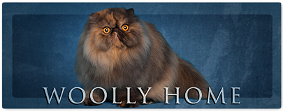 Woolly Home Banner 2